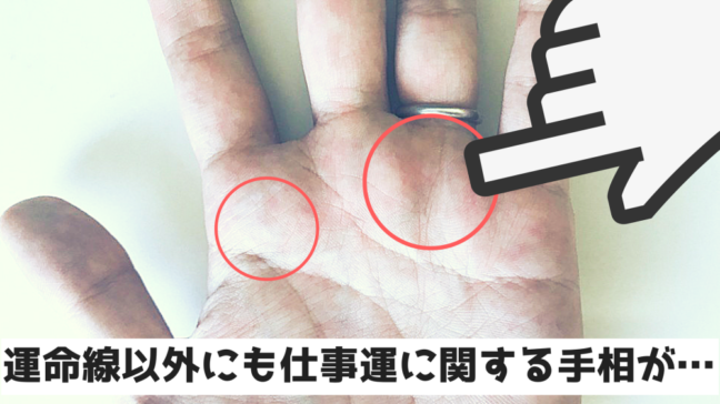 手相　変化　期間　周期　左手　写真　運命　右上にイラスト　赤丸が重要　チェックしてほしい
