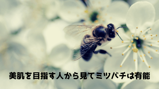 ビーポーレン　効果　副作用　口コミ　美容　市販　ミツバチが花に　白い花がたくさん
